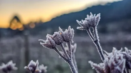 Onda de frio deve atingir pelo menos sete estados, alerta Inmet