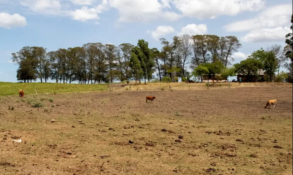 Chuvas, estiagem e seca deixam 20 municípios em situação de emergência