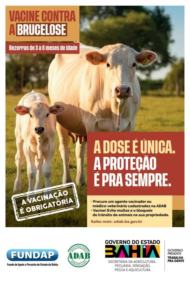 Adab lança campanha para ampliar cobertura vacinal de brucelose no estado