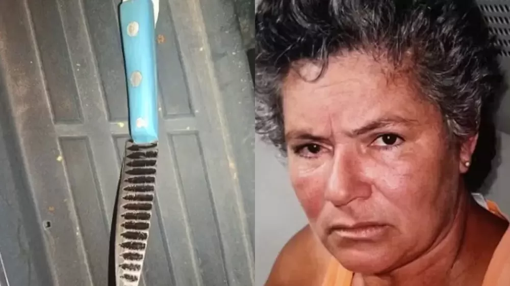 Mulher é presa suspeita de matar parceiro a facadas na Bahia