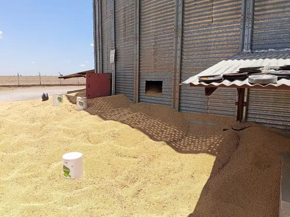 Trabalhador morre soterrado após cair em silo de soja na Bahia