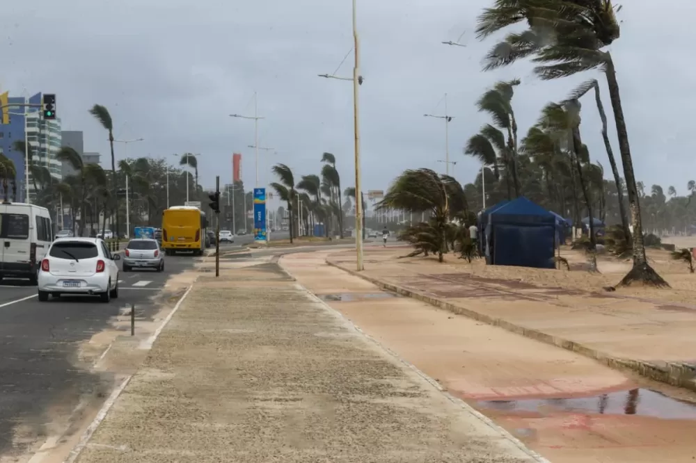 Apagão, alagamentos e queda de árvore: chuva forte provoca diversas ocorrências na Bahia