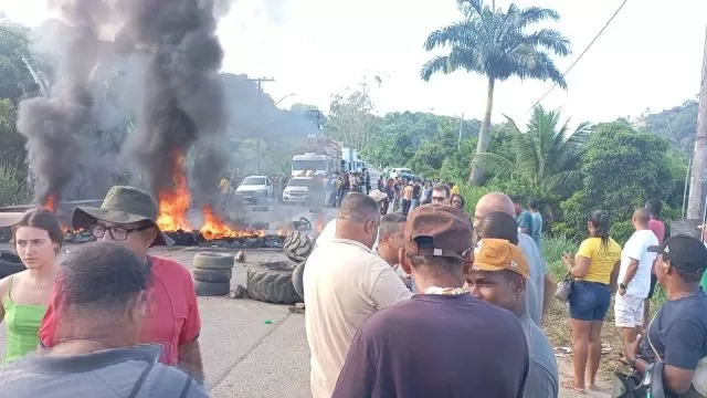 Produtores de cacau interditam BR-101 na Bahia e cobram medidas para conter queda de preço de produto