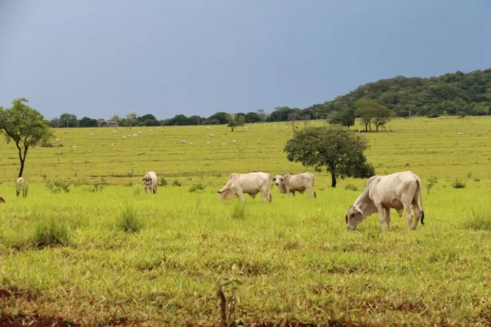 PIB da Bahia cresce 2,3% no 4º trimestre e acumula alta de 2,7% em 2025