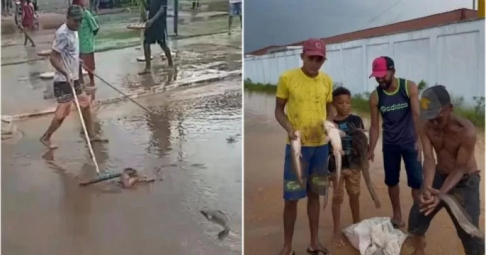 Moradores encontram peixes na rua após alagamento escoar na Bahia